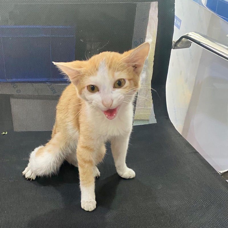 162497483_10222525859512389_1474481198110374164_o