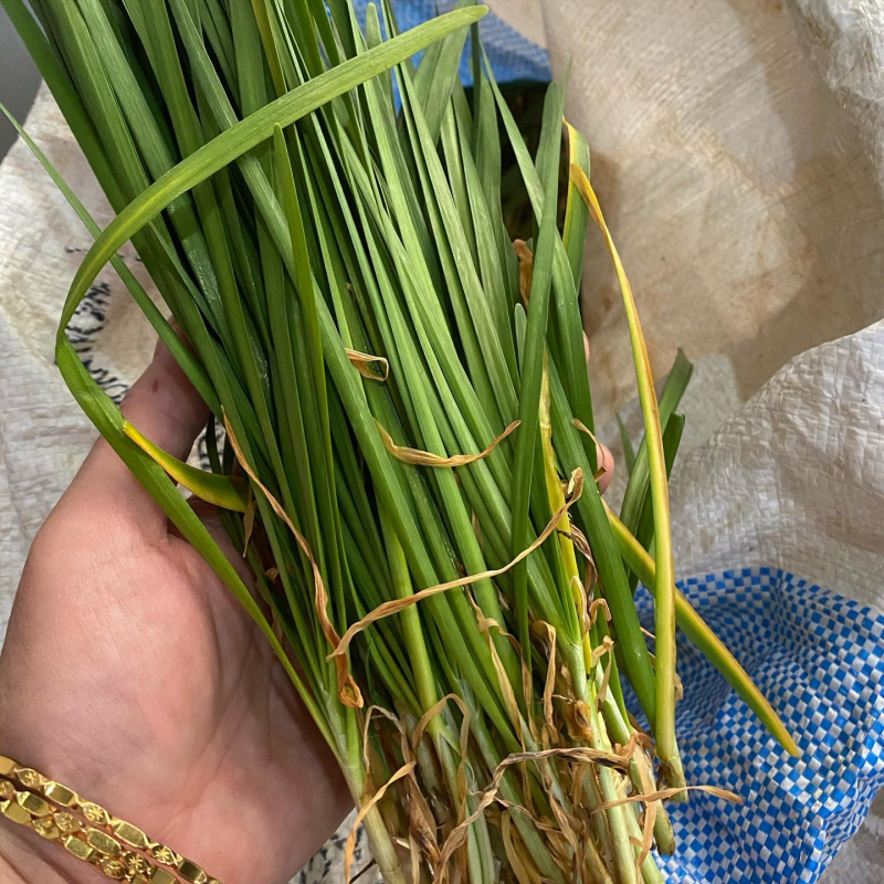 162497483_10222525859512389_1474481198110374164_o