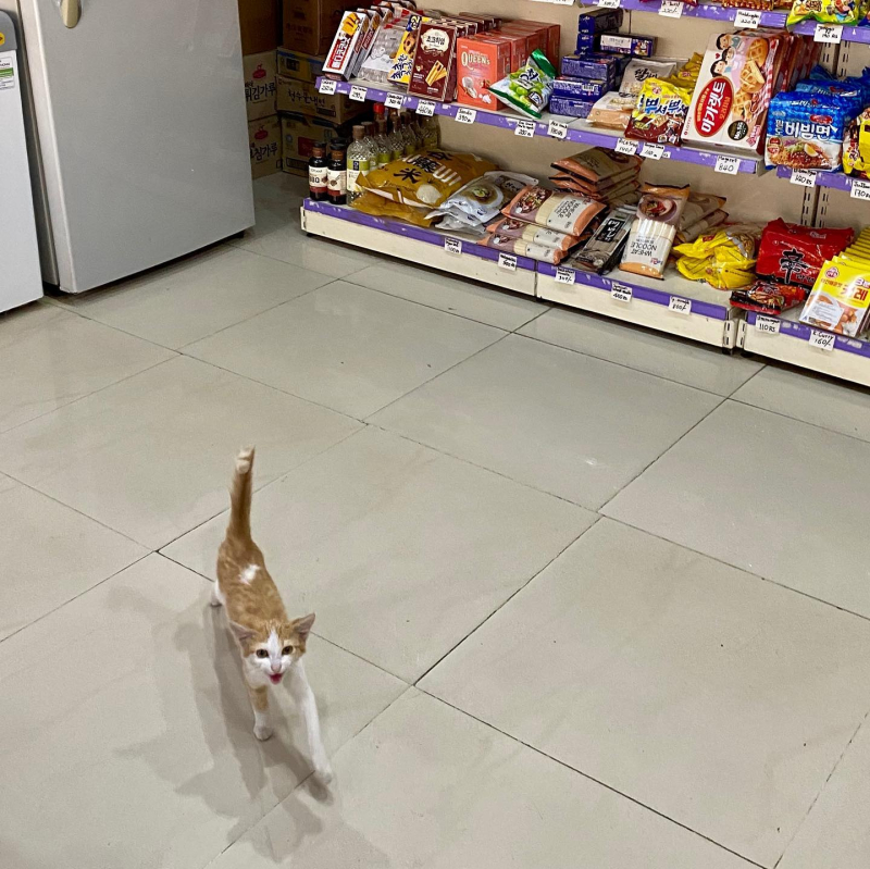 162497483_10222525859512389_1474481198110374164_o