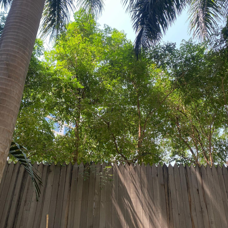 159408218_10222459330329201_1038701874688796267_o