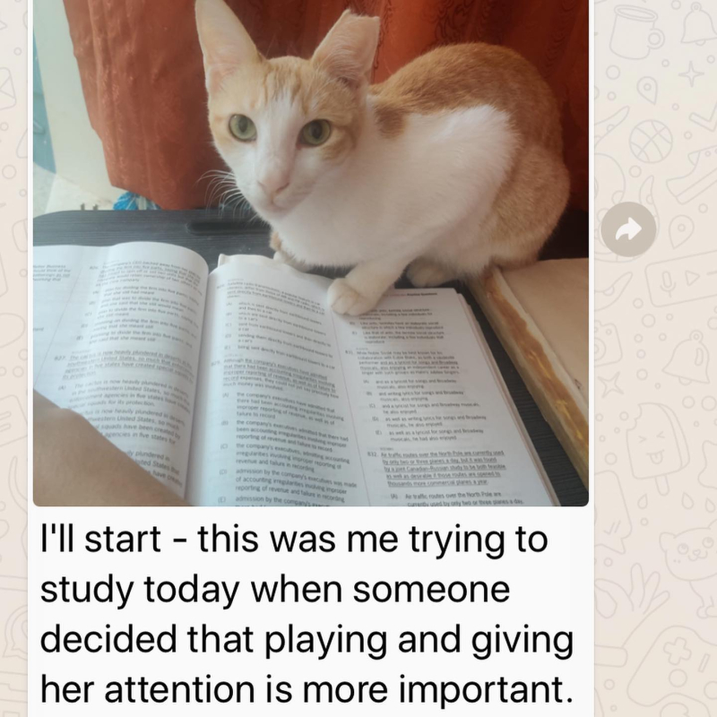 184607991_10222849010830970_4413416068207263954_n