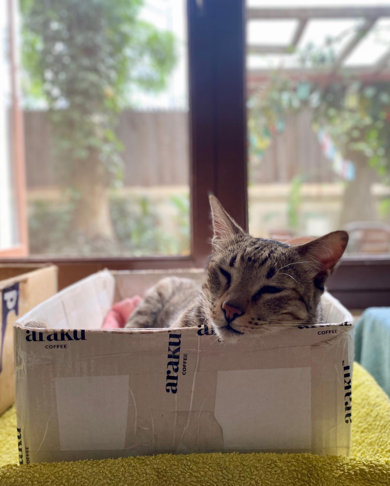 206713998_10223159238266462_2869766027032657939_n