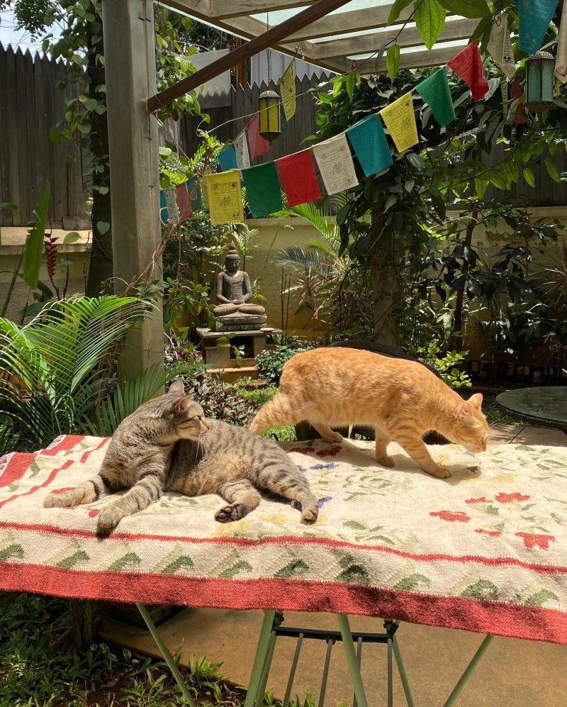 206713998_10223159238266462_2869766027032657939_n