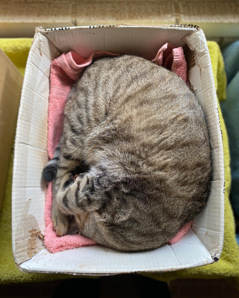 206713998_10223159238266462_2869766027032657939_n