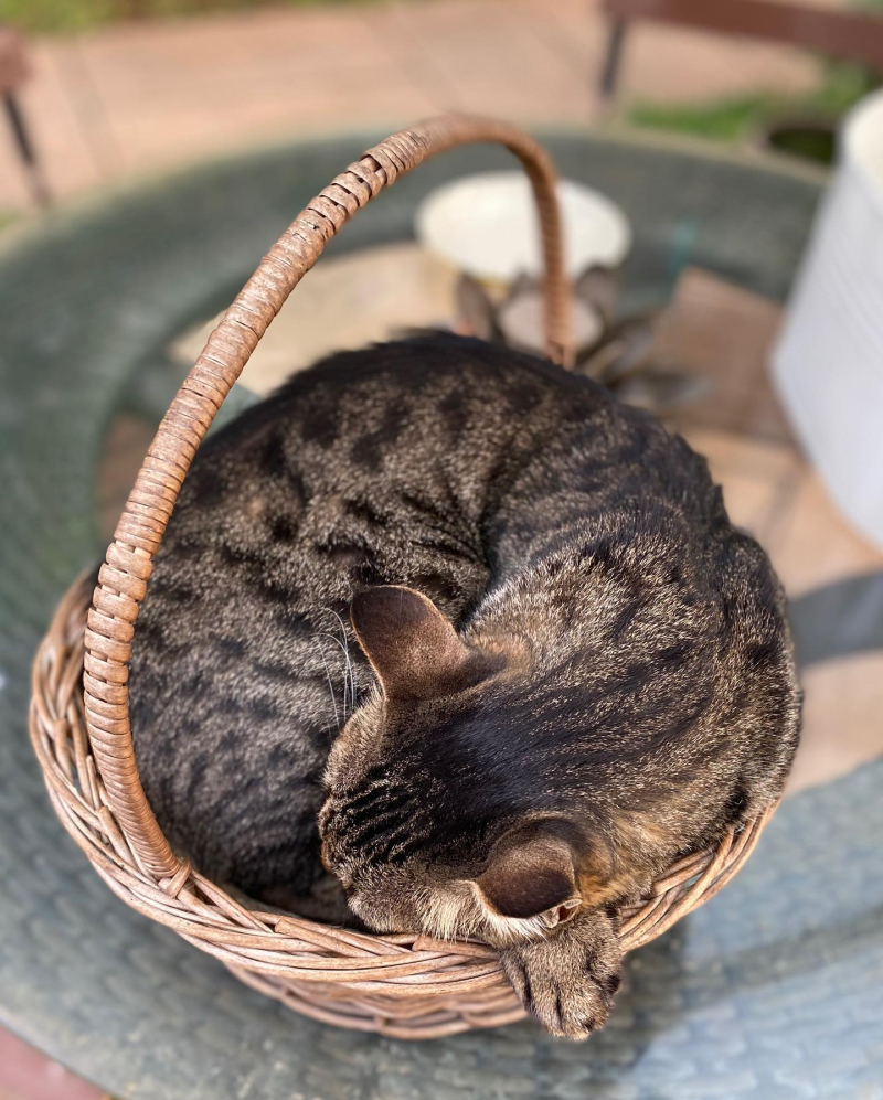 203517385_10223159238106458_1167297504087842146_n