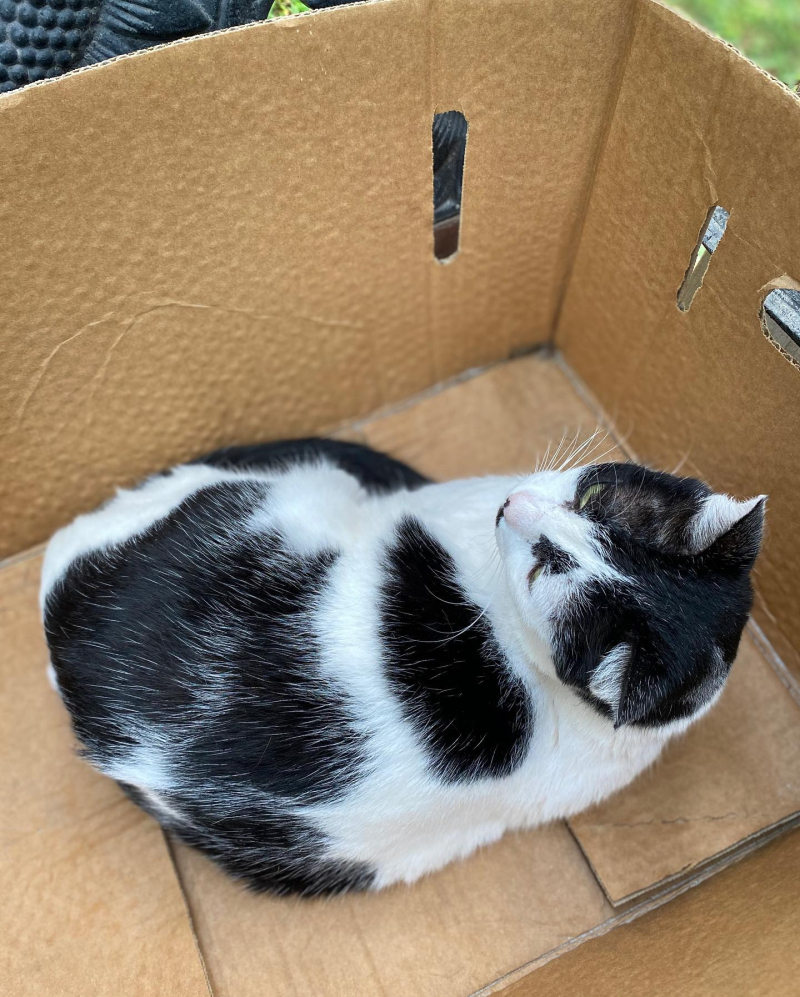 206573599_10223159238386465_46513992935352279_n