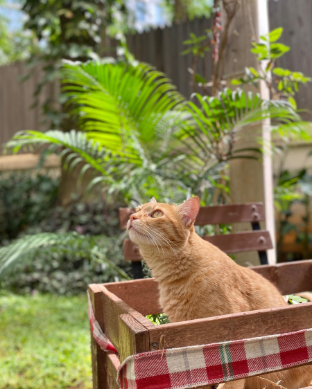 241861207_10223625704407824_3393771747279389817_n