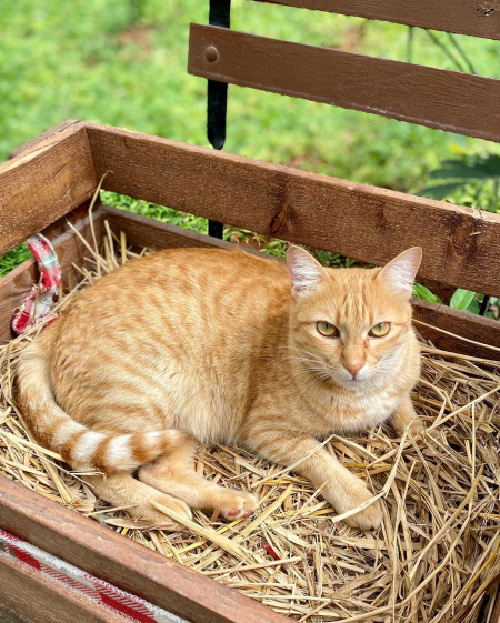 241861207_10223625704407824_3393771747279389817_n