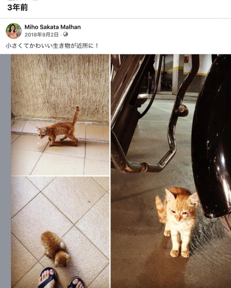 241861207_10223625704407824_3393771747279389817_n