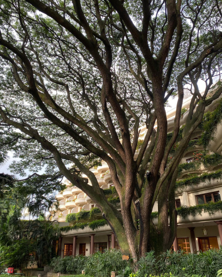 240947203_10223563165244384_1842556755610962090_n