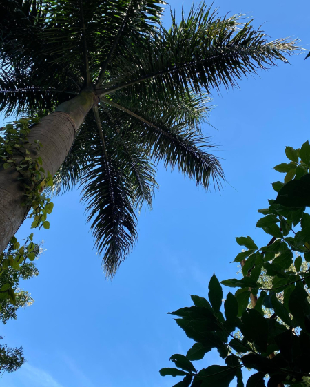 260040031_10224036464596572_5541428319803260708_n