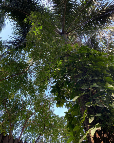 259964724_10224036464756576_5464019388489885481_n