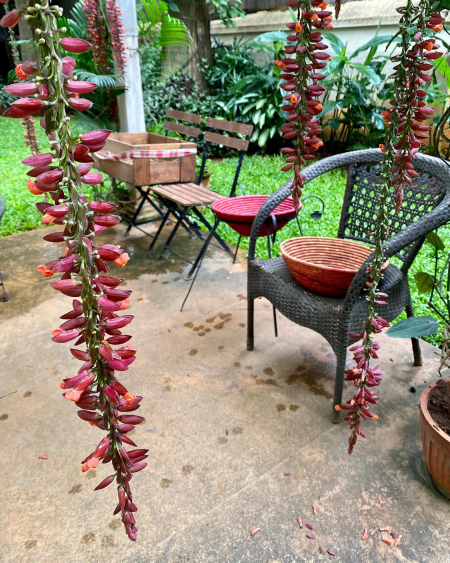 258184816_10224007869561714_2006369420954884316_n