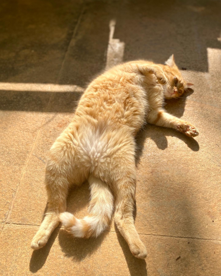 269843959_10224225950173593_7328118774652633449_n