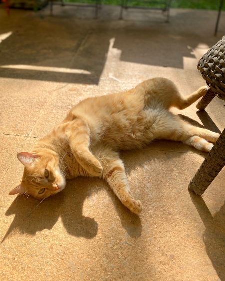 269769565_10224225950533602_3053144500018257148_n