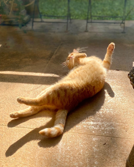 269769565_10224225950533602_3053144500018257148_n