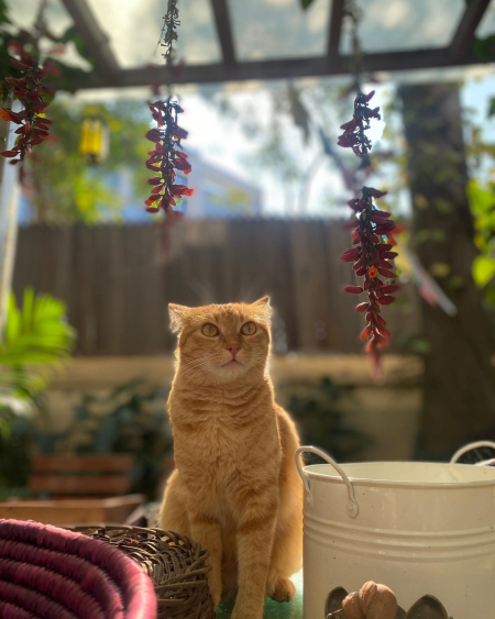 269769565_10224225950533602_3053144500018257148_n