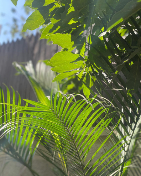 269968978_10224225950253595_7026094507367551858_n