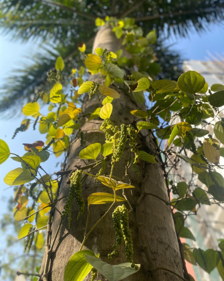 269968978_10224225950253595_7026094507367551858_n