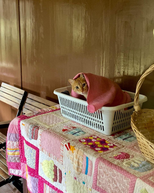 272959866_10224401408399939_8951545232024512400_n