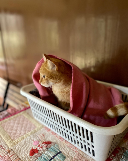 272959866_10224401408399939_8951545232024512400_n