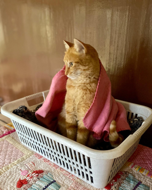 272959866_10224401408399939_8951545232024512400_n