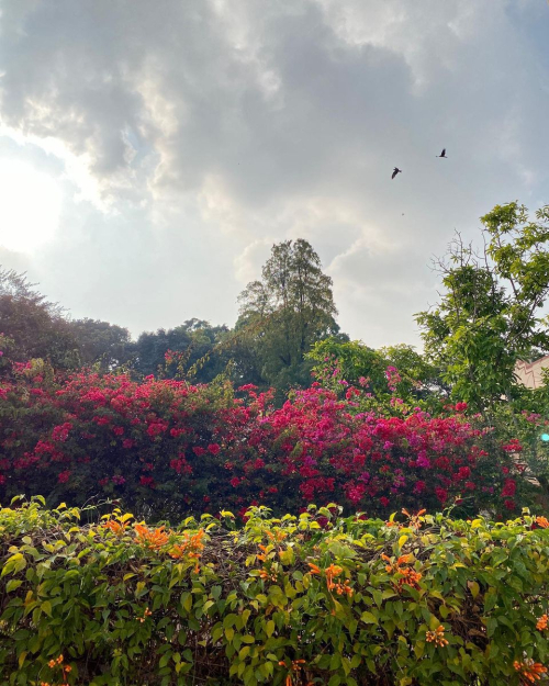 272606575_10224392964548848_3343357761985404421_n