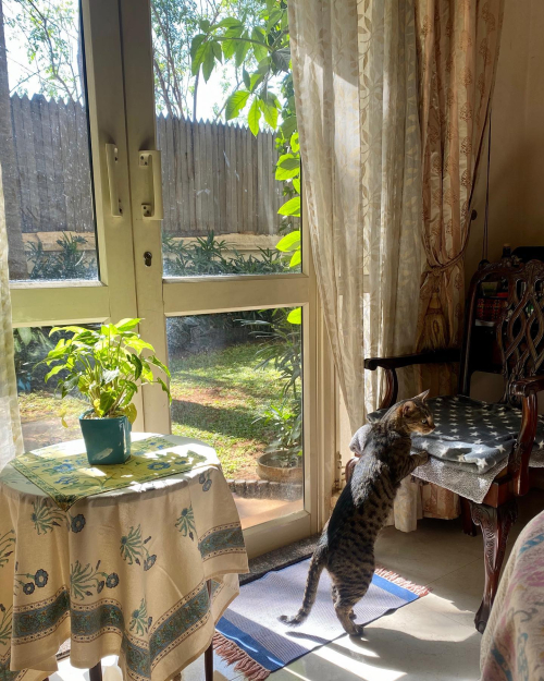 272627859_10224374692532059_4110379677637123186_n