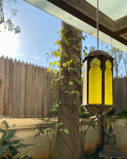 272664614_10224374692612061_2350210306313791009_n