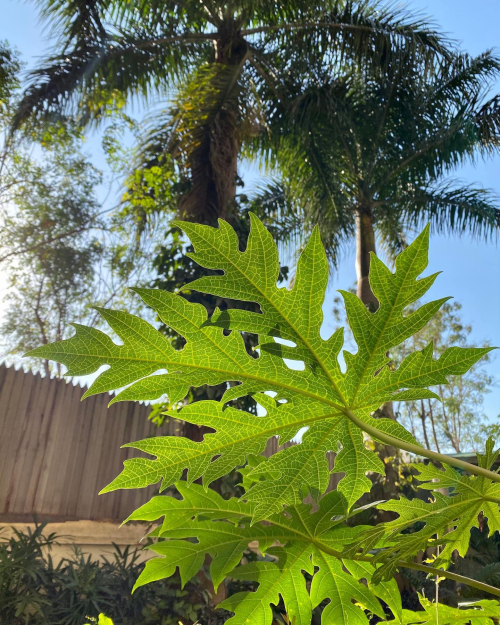 272664614_10224374692612061_2350210306313791009_n