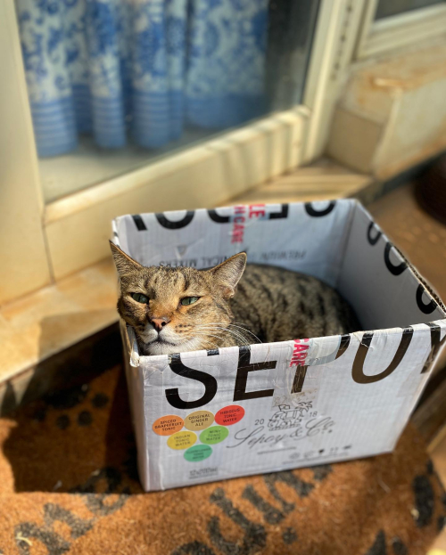 272511406_10224357772829077_8787738647532366877_n