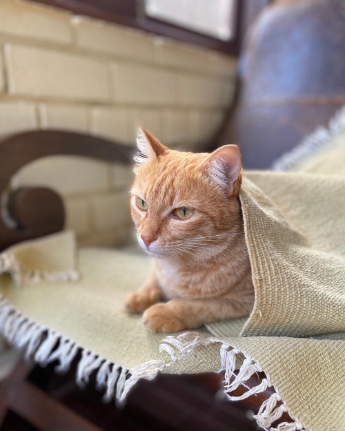 272511406_10224357772829077_8787738647532366877_n