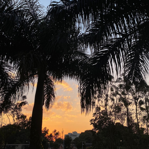 271758880_10224314724912906_4578128021991815270_n