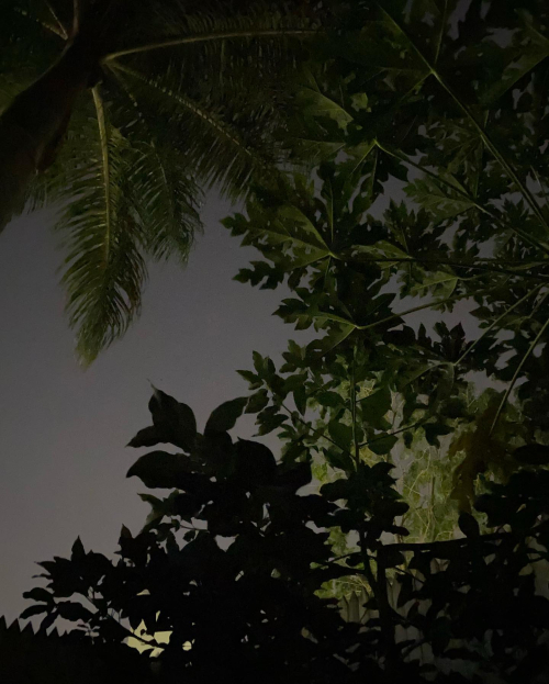 271584389_10224285983034377_9109395878144869484_n