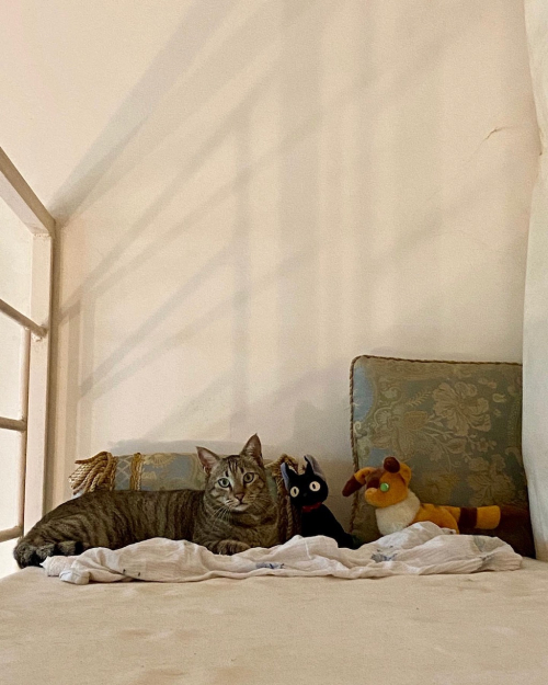 2AAFAD27-FA82-4767-AF2B-A550B4CD3DB5