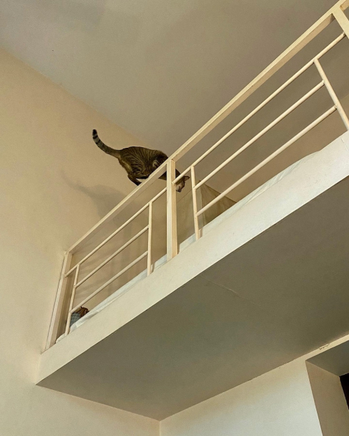 2AAFAD27-FA82-4767-AF2B-A550B4CD3DB5