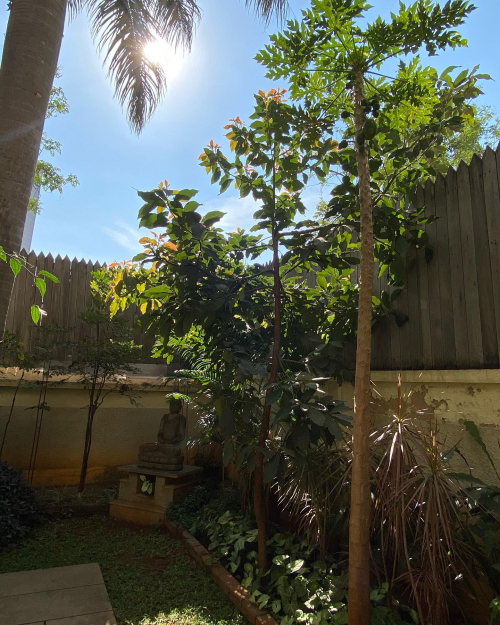 273773050_10224473038110637_9031814118893676073_n