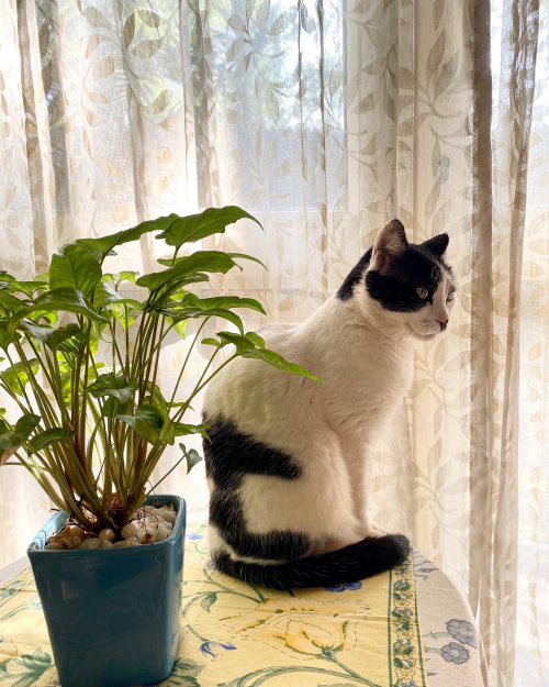 273773050_10224473038110637_9031814118893676073_n