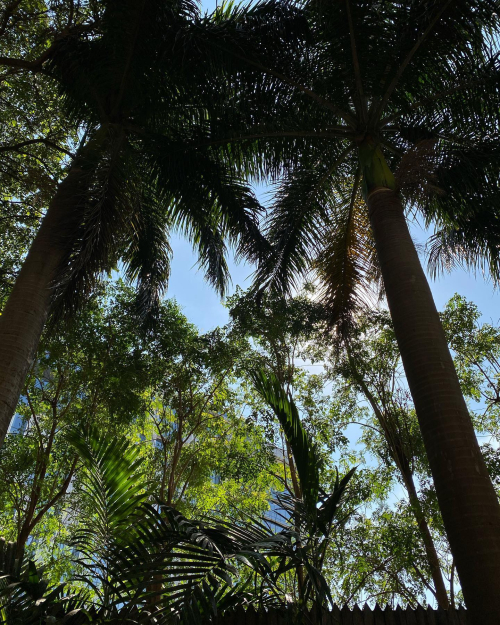 273773050_10224473038110637_9031814118893676073_n