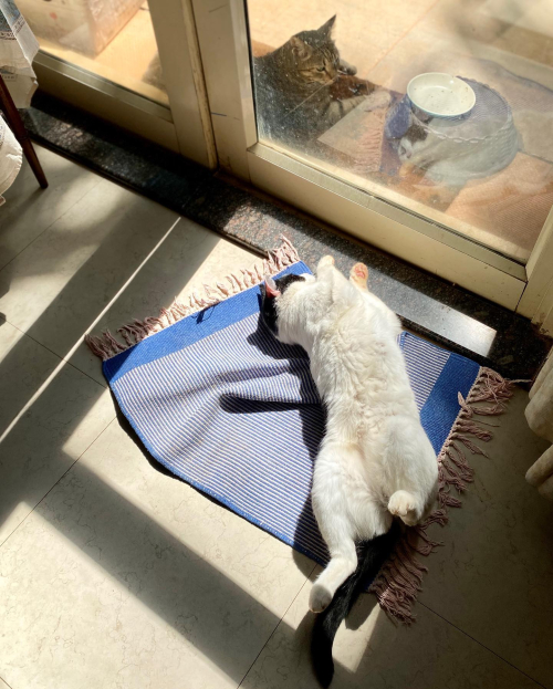 273773050_10224473038110637_9031814118893676073_n