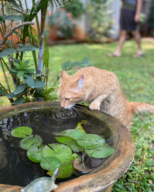 273757456_10224473038030635_4921678834284901425_n