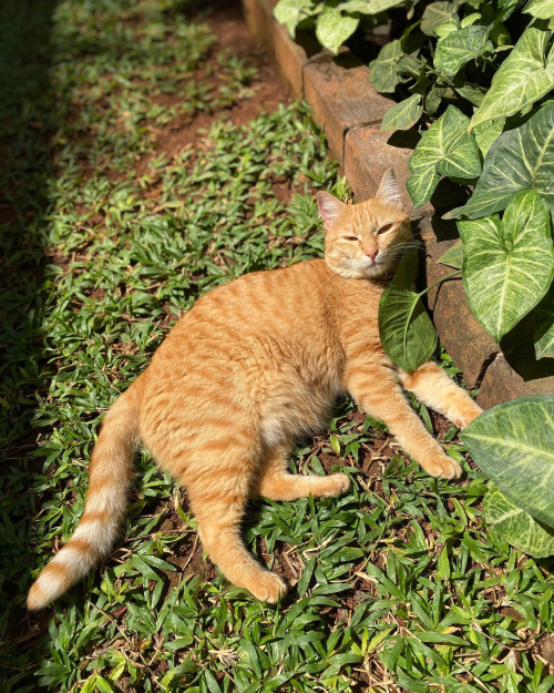 273757456_10224473038030635_4921678834284901425_n