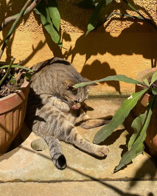 273757456_10224473038030635_4921678834284901425_n