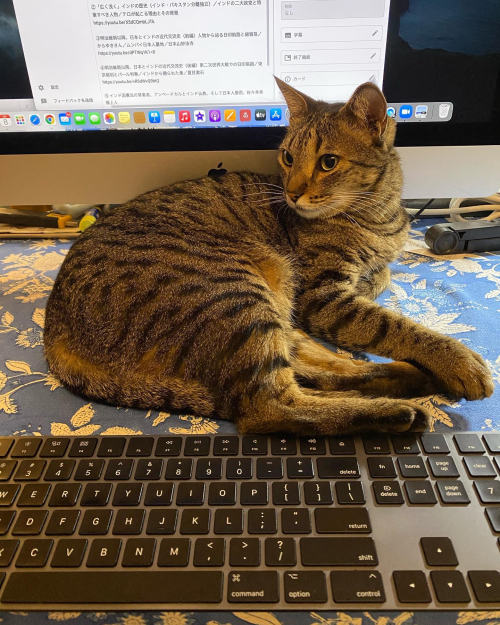 273547430_10224459879421678_7129349770588123011_n