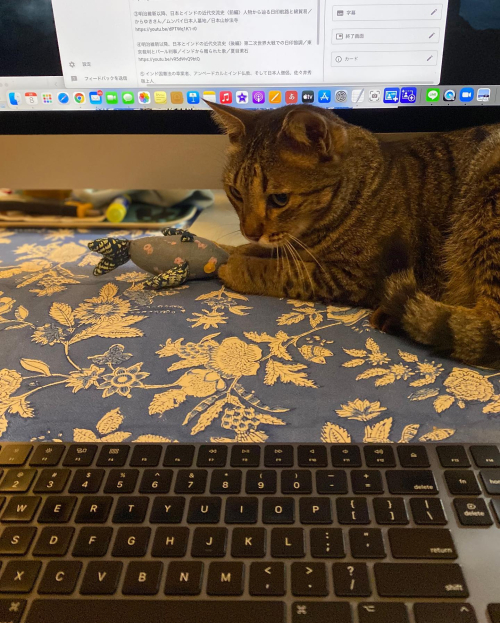 273547430_10224459879421678_7129349770588123011_n