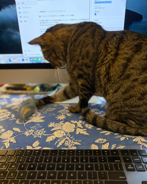 273547430_10224459879421678_7129349770588123011_n