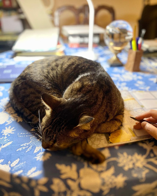 273547430_10224459879421678_7129349770588123011_n