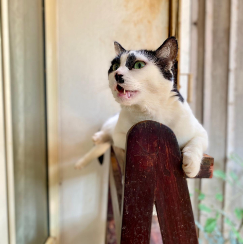 277438653_10224700578679009_337841659607884524_n