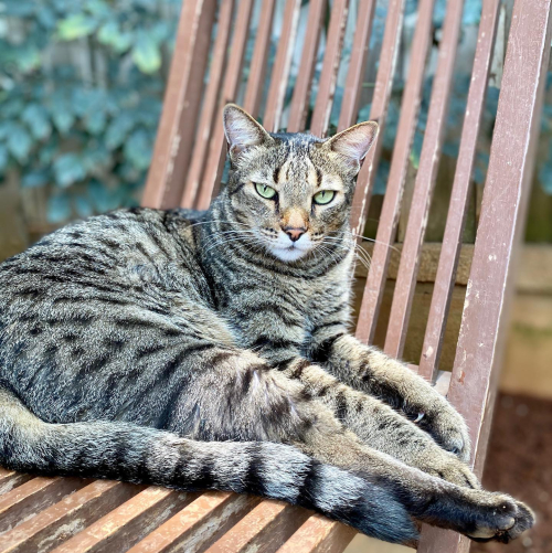 277438653_10224700578679009_337841659607884524_n