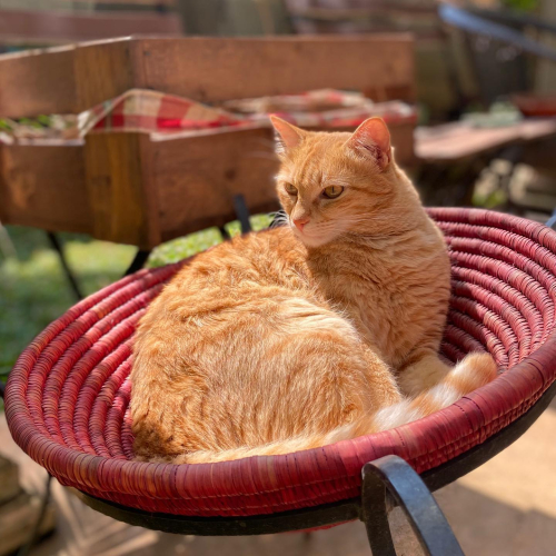 277438653_10224700578679009_337841659607884524_n